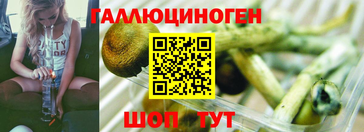 Балашов  Псилоцибиновые грибы мухоморы  Вход с VPN  Псилоцибиновые грибы мицелий 