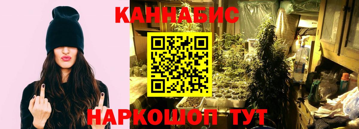 Балашов  Каннабис Bruce Banner  Каннабис Amnesia  Вход с VPN 